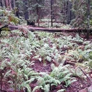 Meet your Posher, Joolie